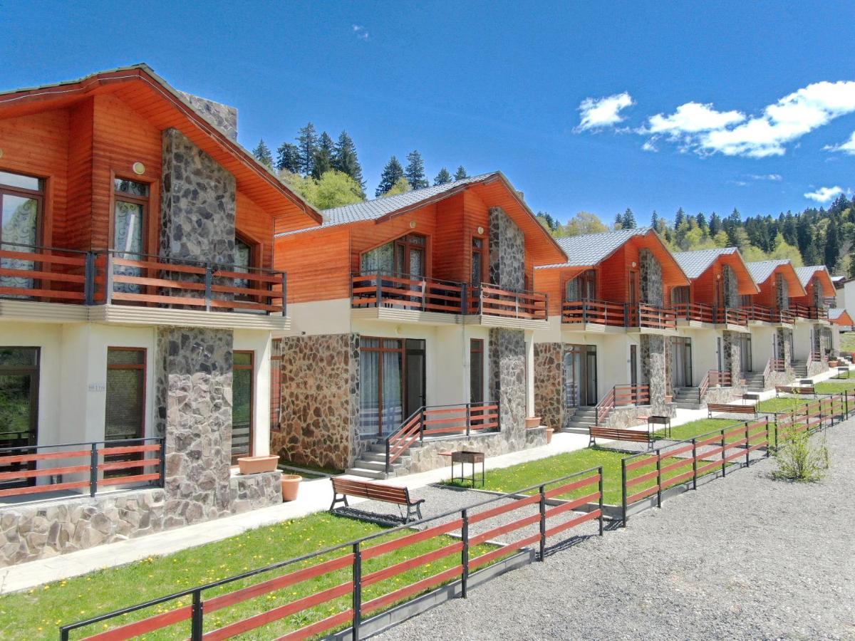 Villa Mtashi Bakuriani Eksteriør billede