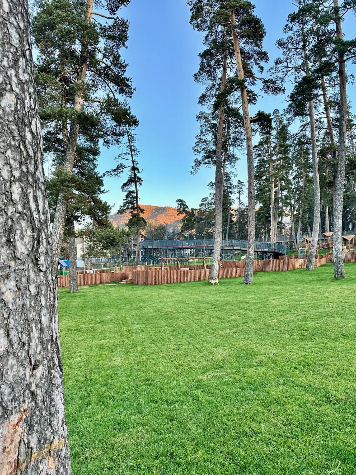Villa Mtashi Bakuriani Eksteriør billede