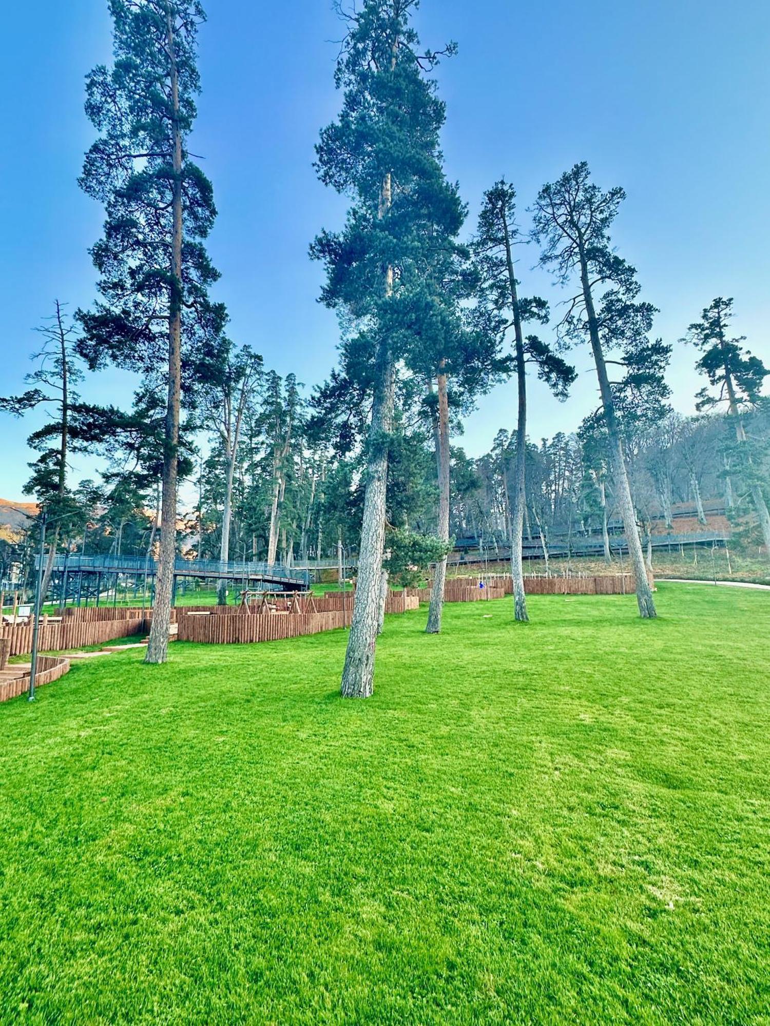 Villa Mtashi Bakuriani Eksteriør billede